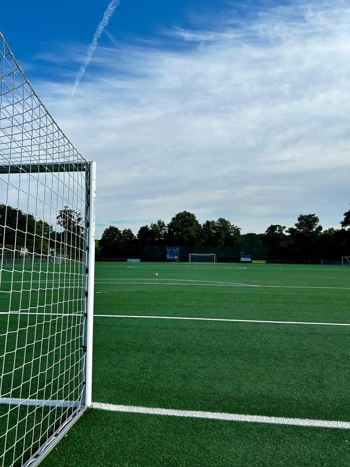 Fußball auf dem Rasen vor dem Ballfangzaun